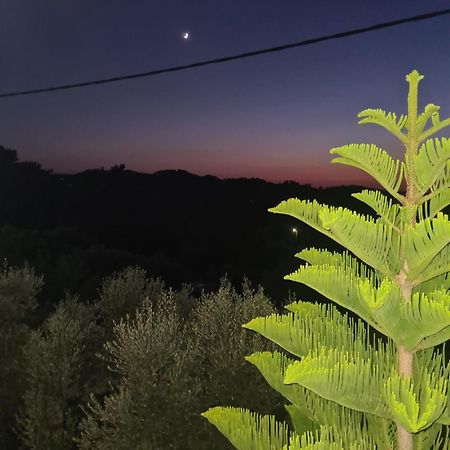 Spitikariotiko Ikarian Cottage Ράχες Εξωτερικό φωτογραφία