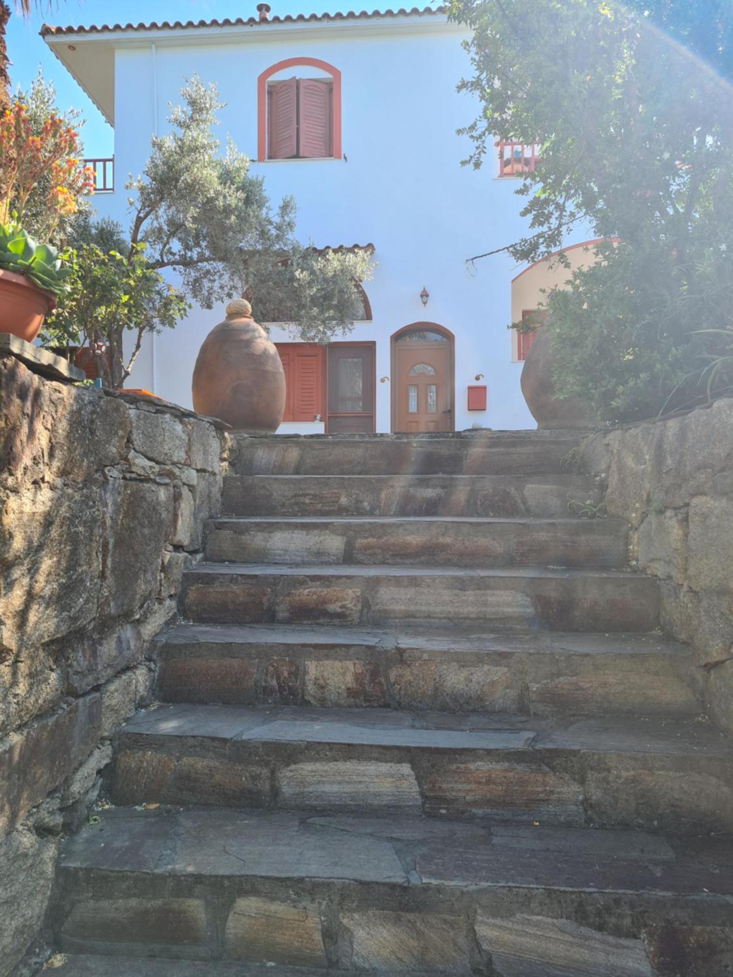 Spitikariotiko Ikarian Cottage Ράχες Εξωτερικό φωτογραφία