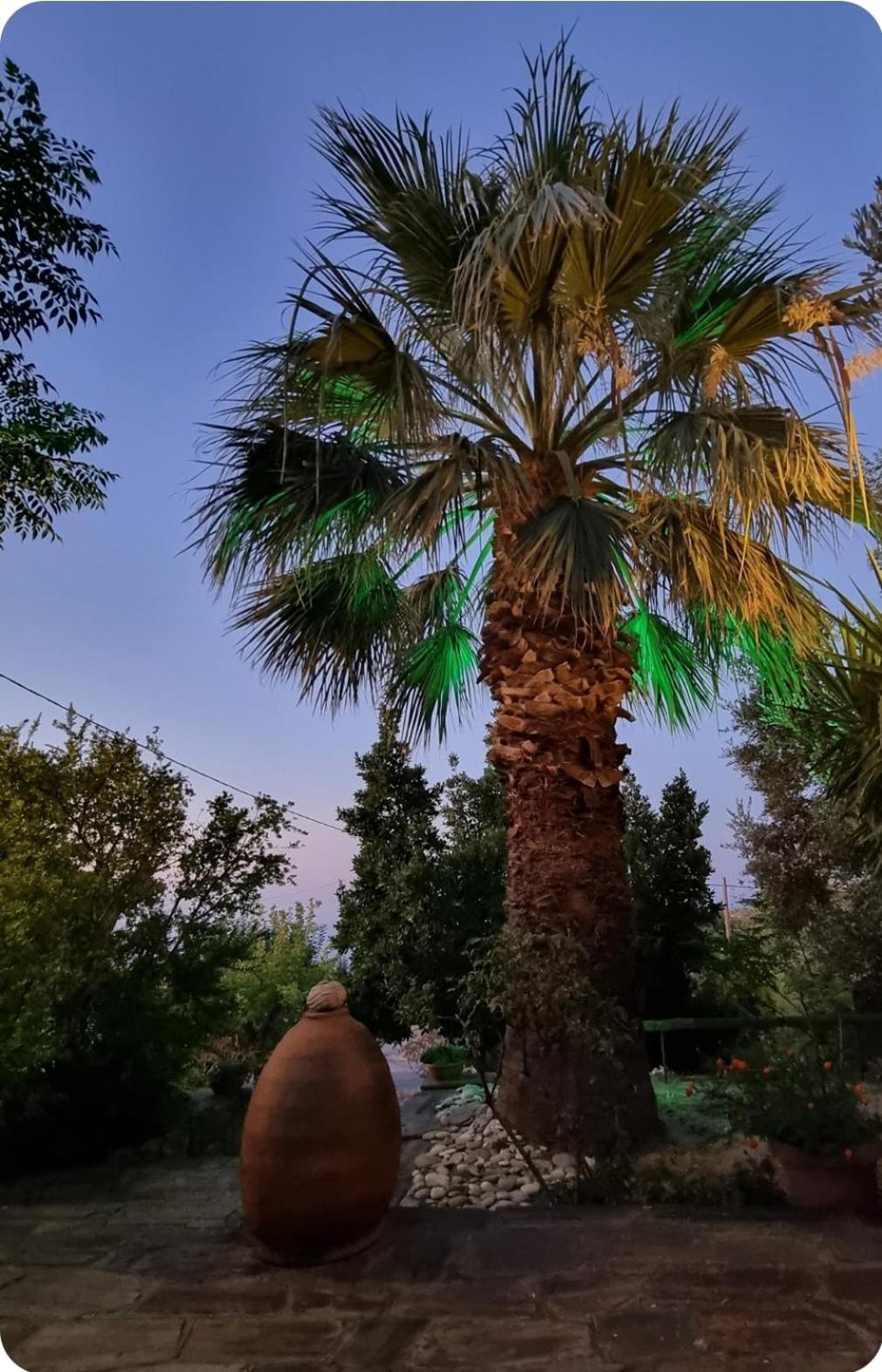 Spitikariotiko Ikarian Cottage Ράχες Εξωτερικό φωτογραφία