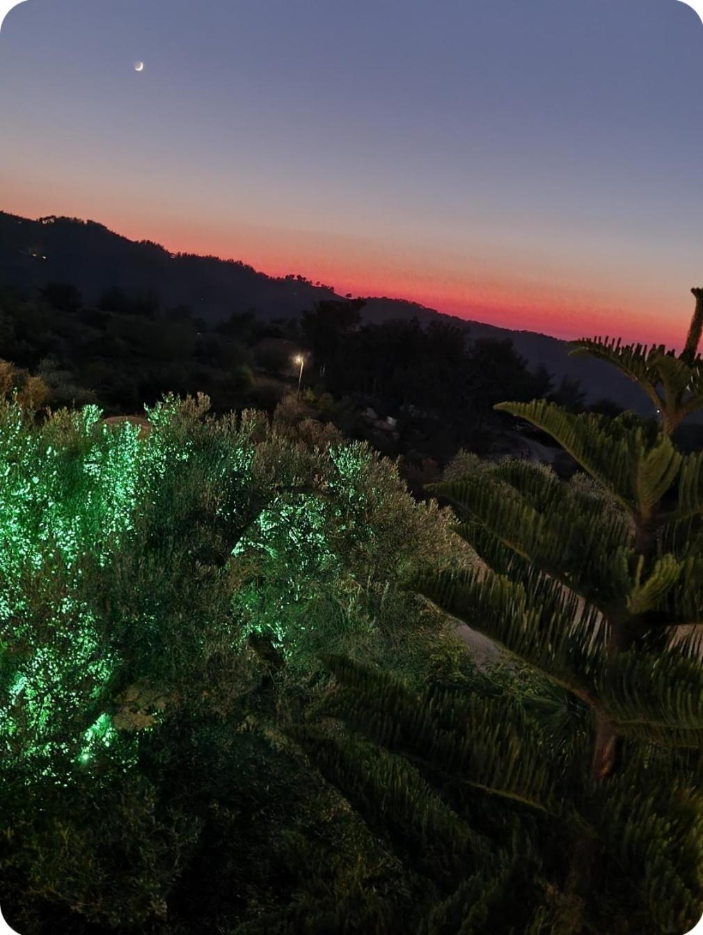 Spitikariotiko Ikarian Cottage Ράχες Εξωτερικό φωτογραφία