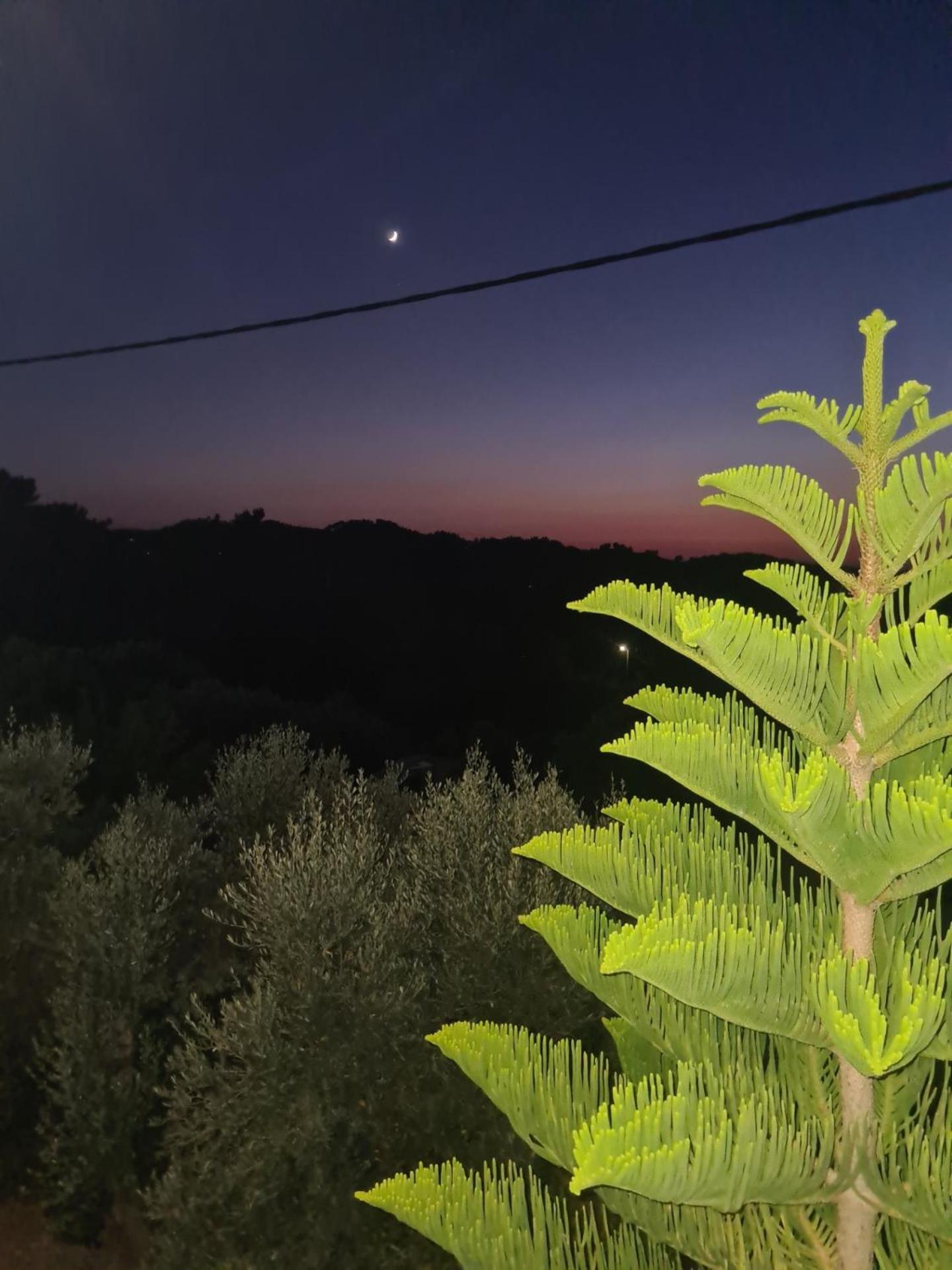 Spitikariotiko Ikarian Cottage Ράχες Εξωτερικό φωτογραφία